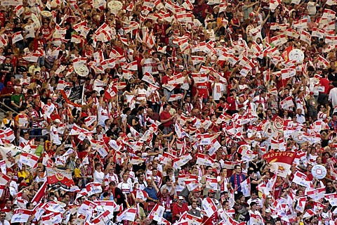 VfB Stuttgart Champion Bundesliga 2007, Baden-Wuerttemberg, Germany