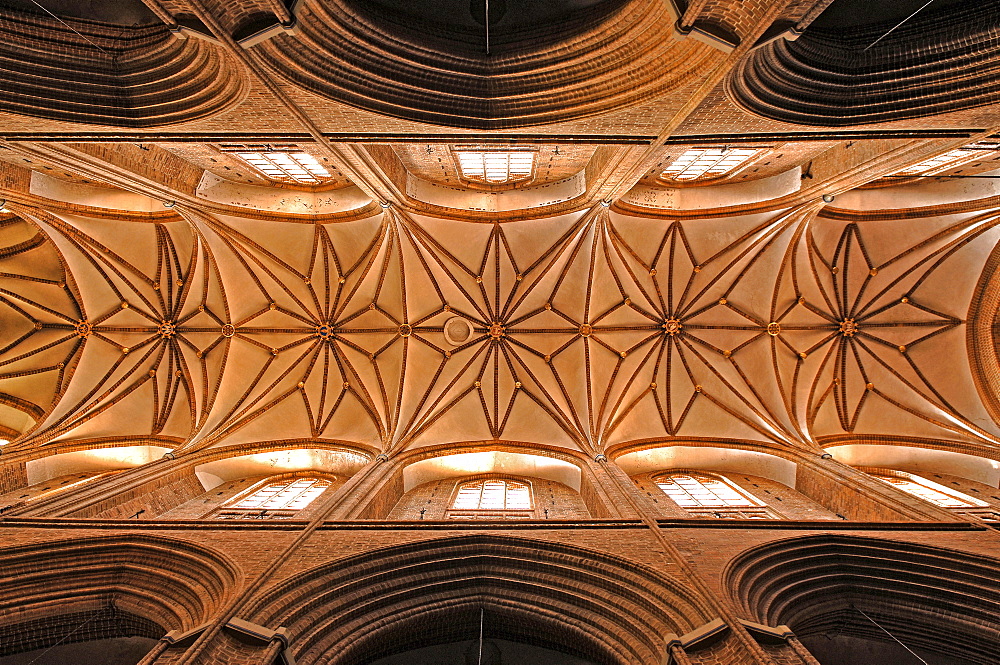 Gothic ceiling vault, Hanseatic-style Nikolai Church built 1407-1440, Lueneburg, Lower Saxony, Germany, Europe