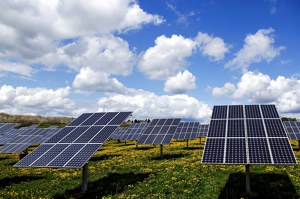 Photovoltaics, solar panels in a field near Oberruesselbach, Middle Franconia, Bavaria, Germany, Europe