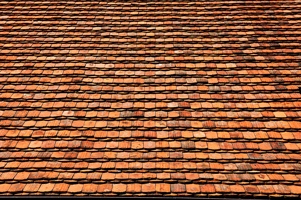 Old clay tile roofing of a farmhouse, Lassahn, Mecklenburg-Western Pomerania, Germany, Europe