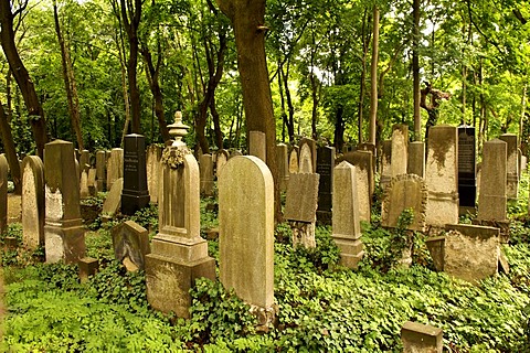 Jewish cemetery, 1827, Prenzlauer Berg, Berlin, Germany, Europe