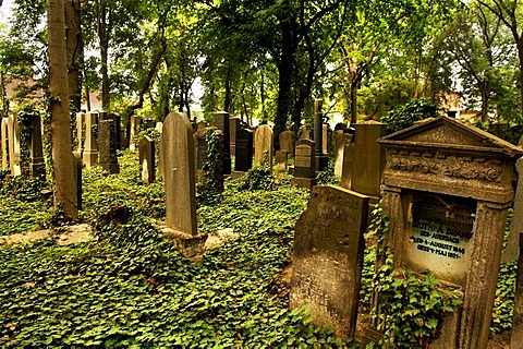 Jewish cemetery, 1827, Prenzlauer Berg, Berlin, Germany, Europe