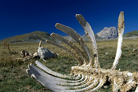 Corno Grande, Campo Imperatore, Abruzzo, Italy