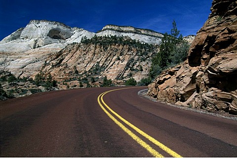 Zion national park, Utah, Arizona, USA