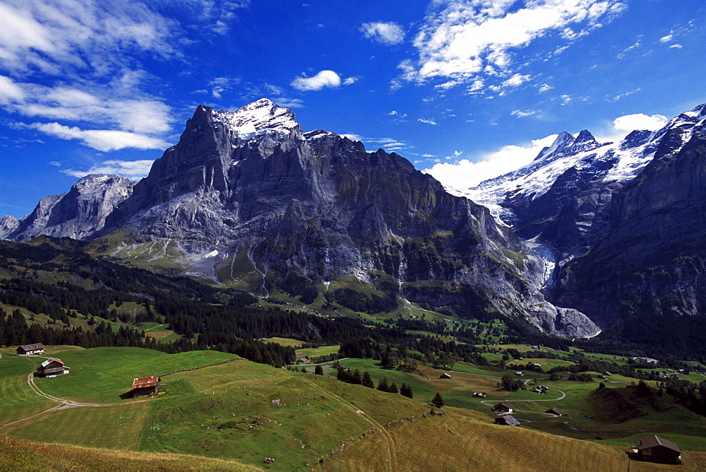 Big Scheidegg, Wetterhorn, Grindelwald, Bernese Oberland, Switzerland