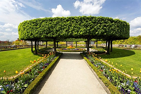 Gardens, Buergermeister garden, historic city centre, Nuremberg, Franconia, Bavaria, Germany, Europe