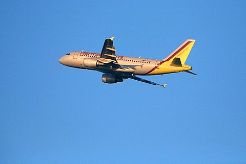 Airplane Airbus A319