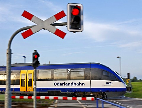 Oderlandbahn train crossing a railway-crossing, Brandenburg, Germany, Europe