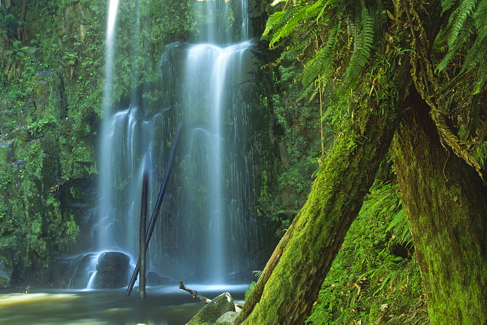 Beauchamp Falls, Otway National Park, Victoria, Australia, Oceania