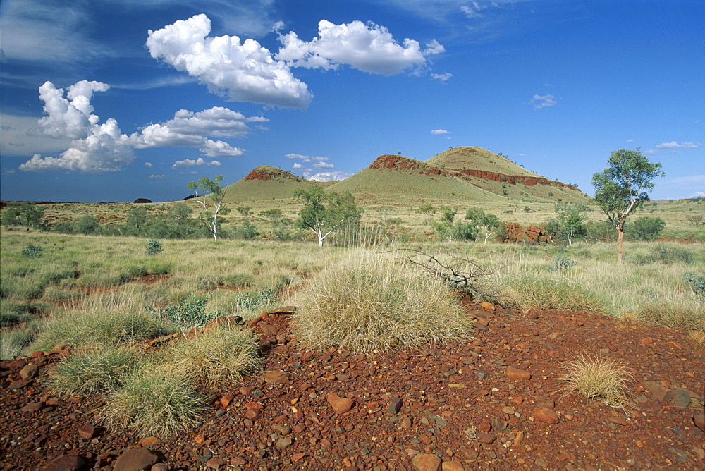 Blue sky, Pilbara Region, Western Australia, Australia, Oceania