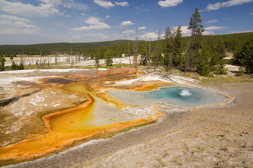 Firehole Spring in Lower Geyser Basin, Yellowstone National Park, Wyoming, USA