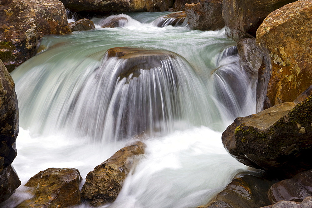 Detail, Sulzaubach brook, Stubaital Valley, North Tyrol, Austria, Europe