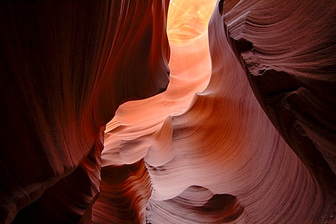 Slot Canyon of the Lower Antelope Canyon, Navajo Tribal Park, Page, Arizona, USA, North America