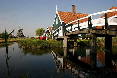 The characteristic wooden houses and windmills as in the 17th century in the Museum Zaanse Schans, Zaandam, Netherlands, Europe