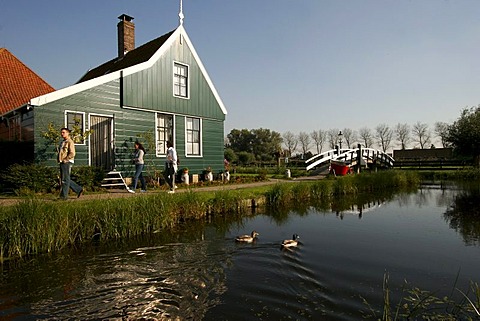 The characteristic wooden houses as in the 17th century in the Museum Zaanse Schans, Zaandam, Netherlands, Europe