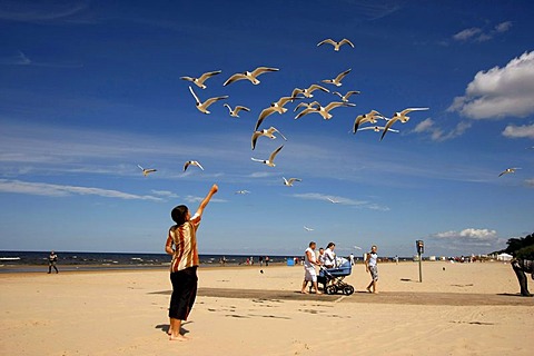 Small boy feeding flying seagulls on Jurmala Beach, Latvia, Baltic Countries