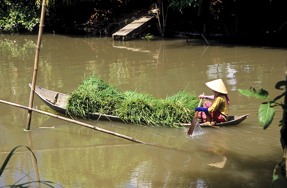 Heavily-laden canoe, woman transporting river grasses, Mekong Delta, Vietnam, Asia