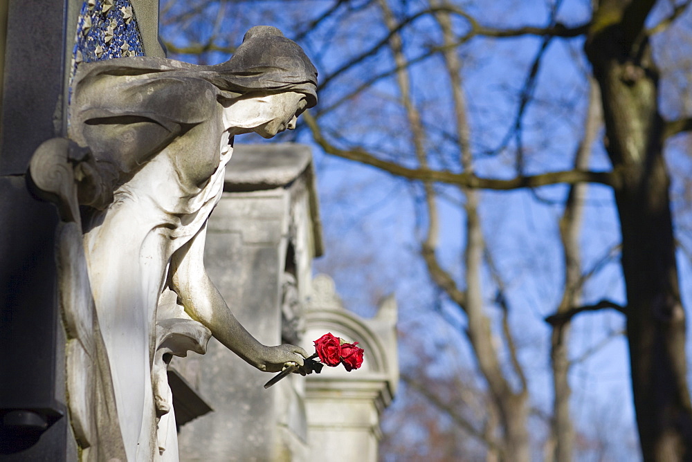 Angel statue holding red rose on a gravestone, Alter Suedfriedhof Cemetery, Munich, Bavaria, Germany