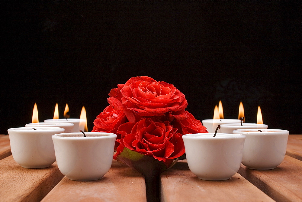 Roses in the light of tea candles