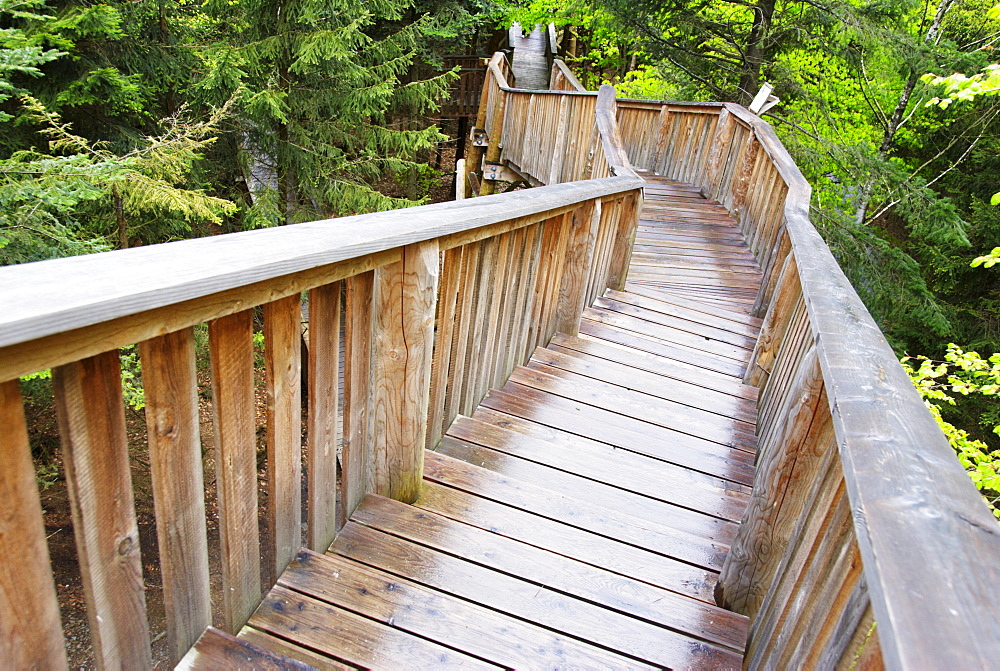 Longest treetop path of the world, Kopfing, Upper Austria, Europe