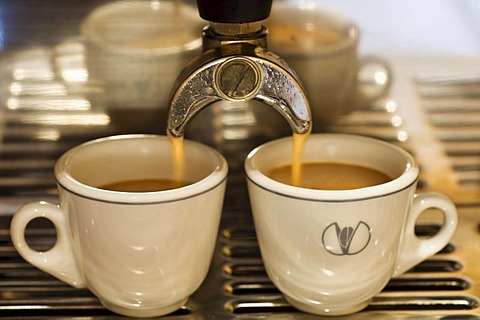 A cup of coffee is prepared with an espresso machine