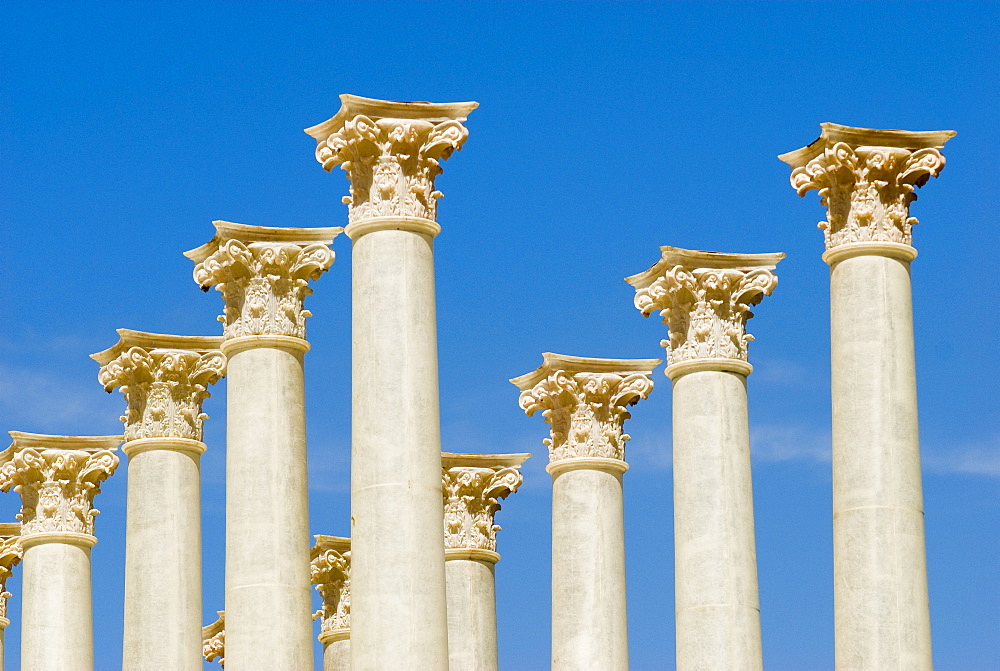 Forum Romanum, Columns of the temple of the Venus and the Roma, Rome, Italy.