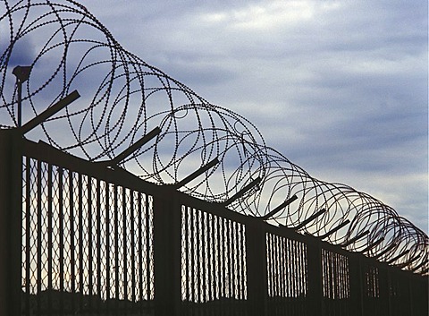 Fence with barbed wire