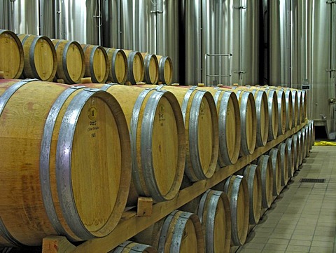 Wine cellar with wooden barrels and stainless steel containers