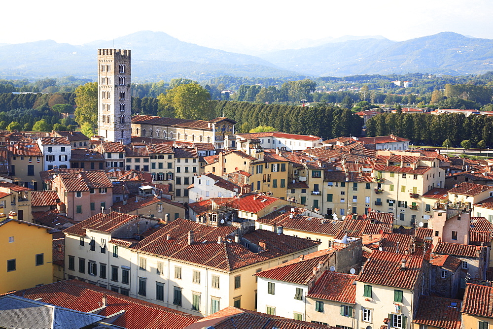 Campanile, San Frediano, Lucca, Tuscany, Italy