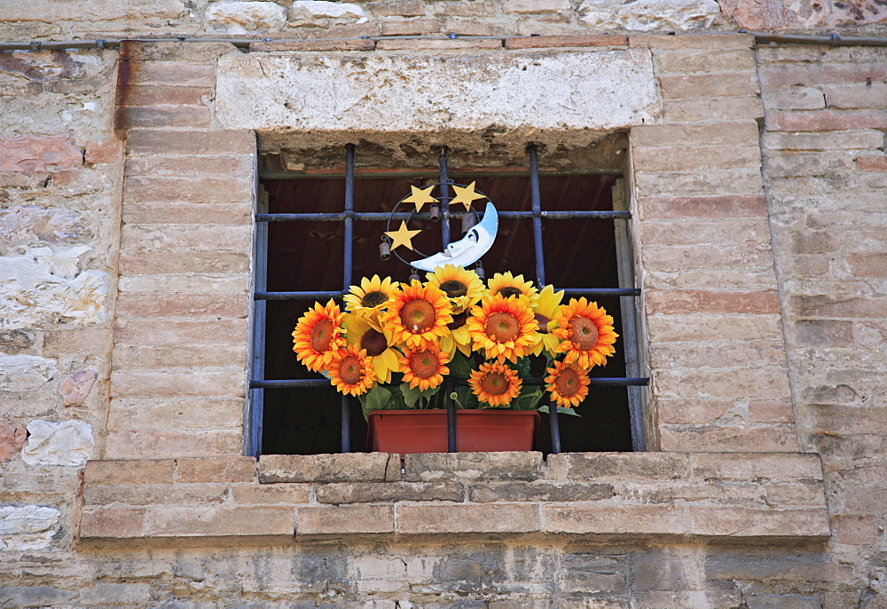 Bunch of flowers in the old part of town, Assisi, Umbria, Italy