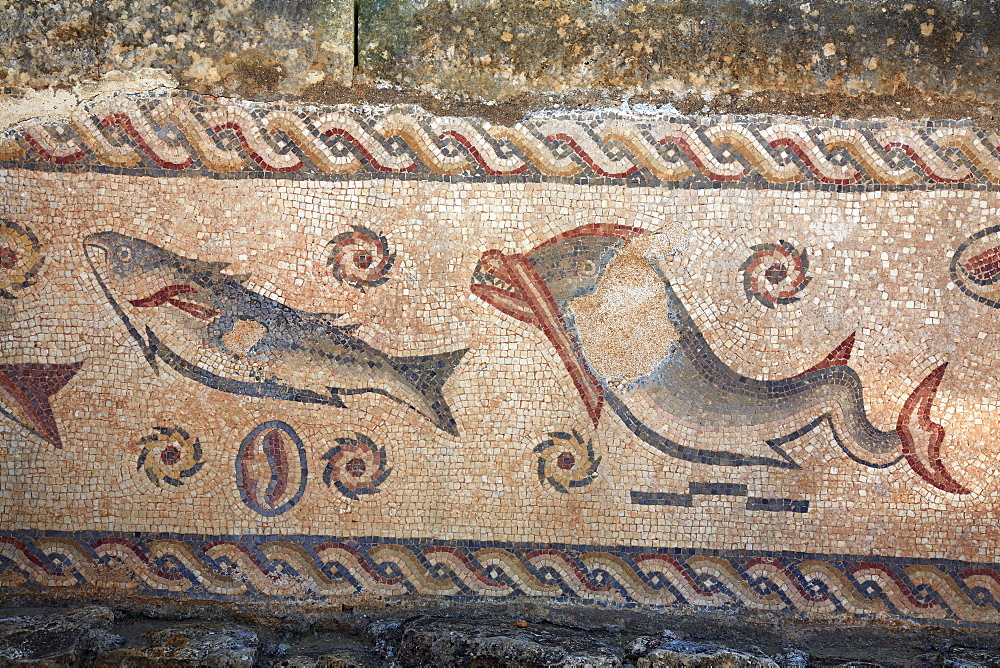 Mosaic in the roman ruins of Milreu near Estoi, Algarve, Portugal