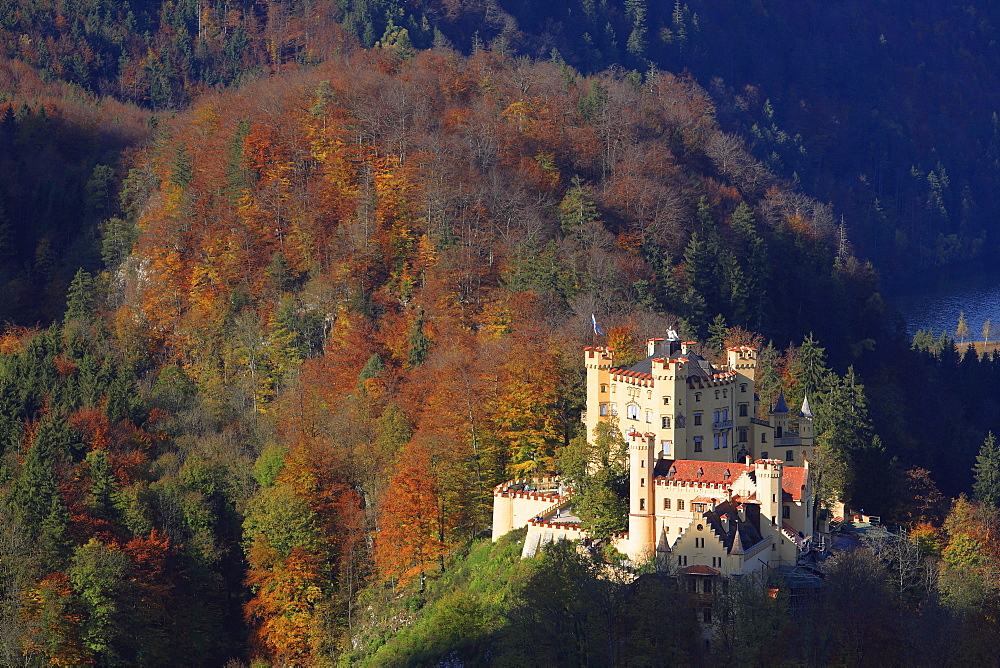 Hohenschwangau Castle in morning light, Schwangau, Bavaria, Germany