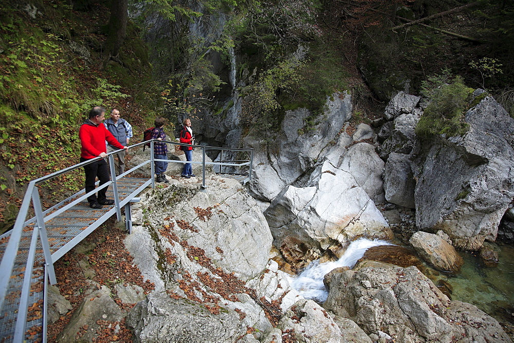 Poellath gorge below Neuschwanstein Castle, Schwangau, Bavaria, Germany