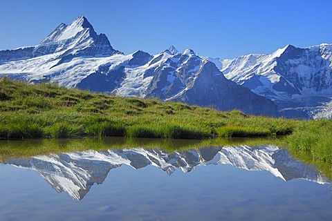 Schreckhorn being reflected in the Bachalpsee, First near Grindelwald, Bernese Oberland, Switzerland