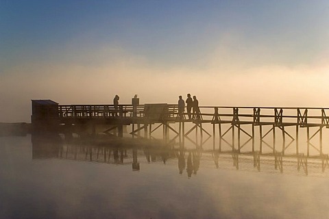 Fog at dawn, Federnseesteg, Upper Swabia, Baden-Wuettemberg, Germany