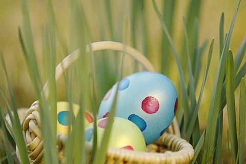 Easter eggs in basket