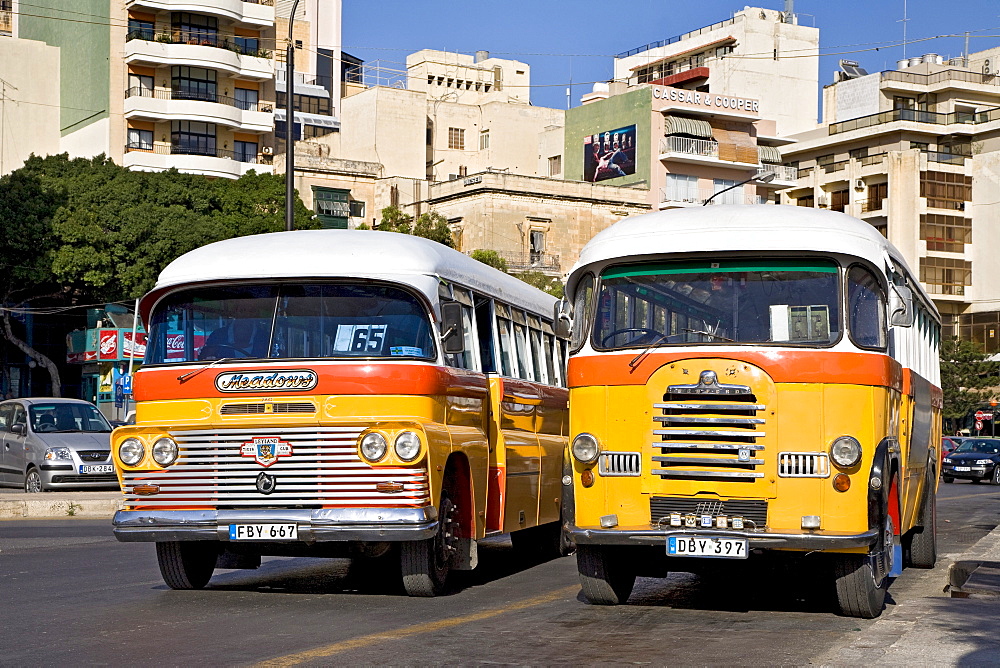 Buses, Sliema, Malta, Europe