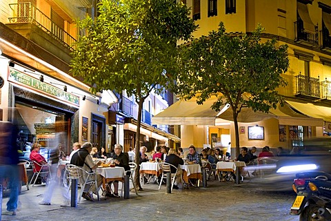 Street cafe, Seville, Andalusia, Spain, Europe