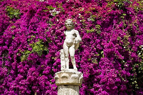 Garden, Casa Pilatos, Seville, Andalusia, Spain, Europe