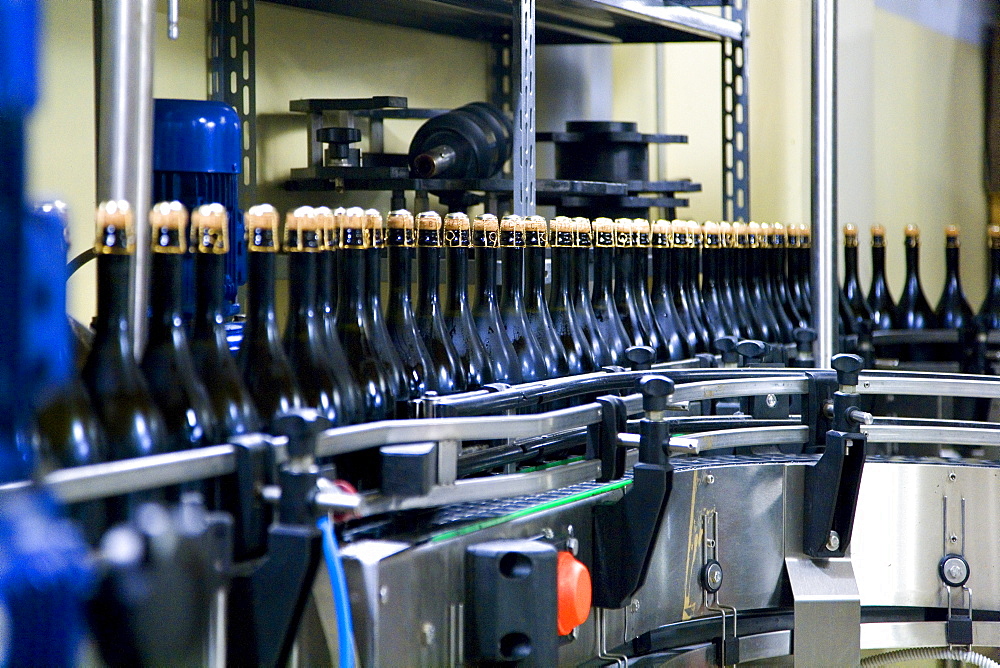 Filling in the winery of Ca Salina Prosecco, Valdobbiadene, Veneto, Italy, Europe