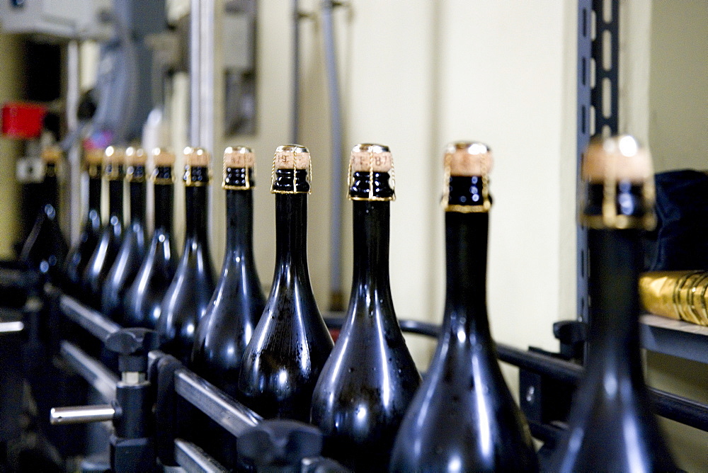 Filling in the winery of Ca Salina Prosecco, Valdobbiadene, Veneto, Italy, Europe