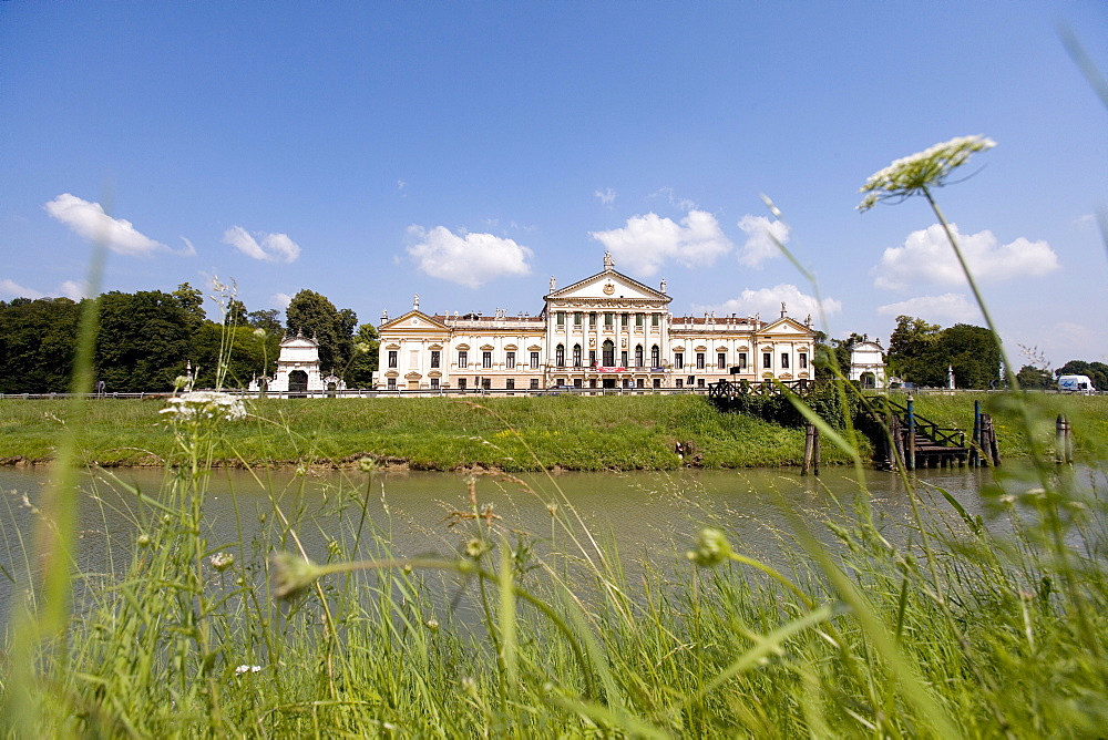 Flowers along the Brenta River in front of the Villa Pisani, Stra, Veneto, Italy, Europe