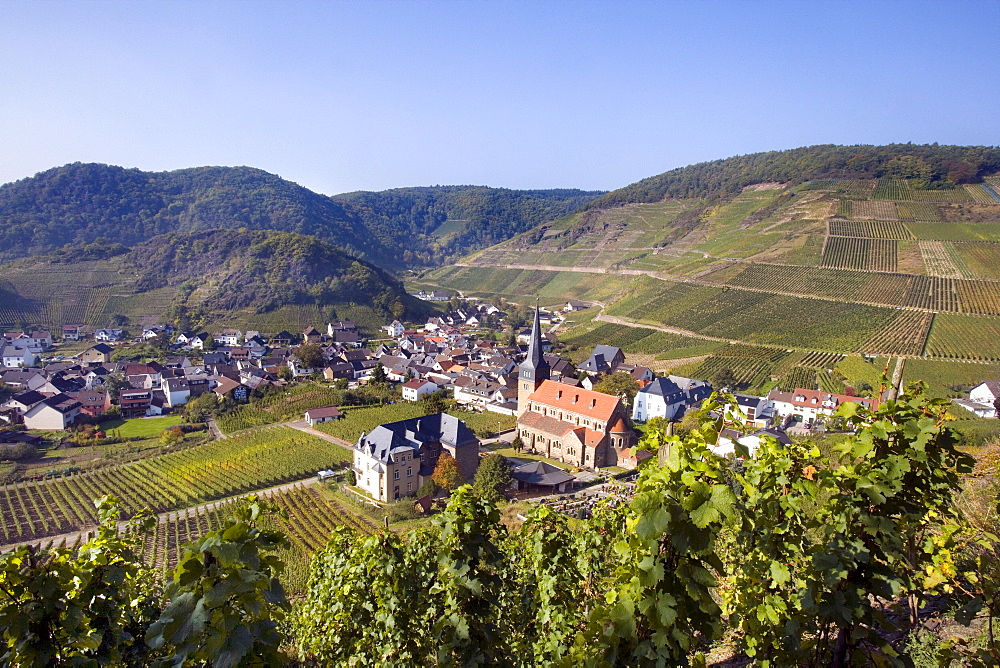 View of Mayschoss, vinyards, Ahrtal Valley, Eifel Range, Rhineland-Palatinate, Germany, Europe