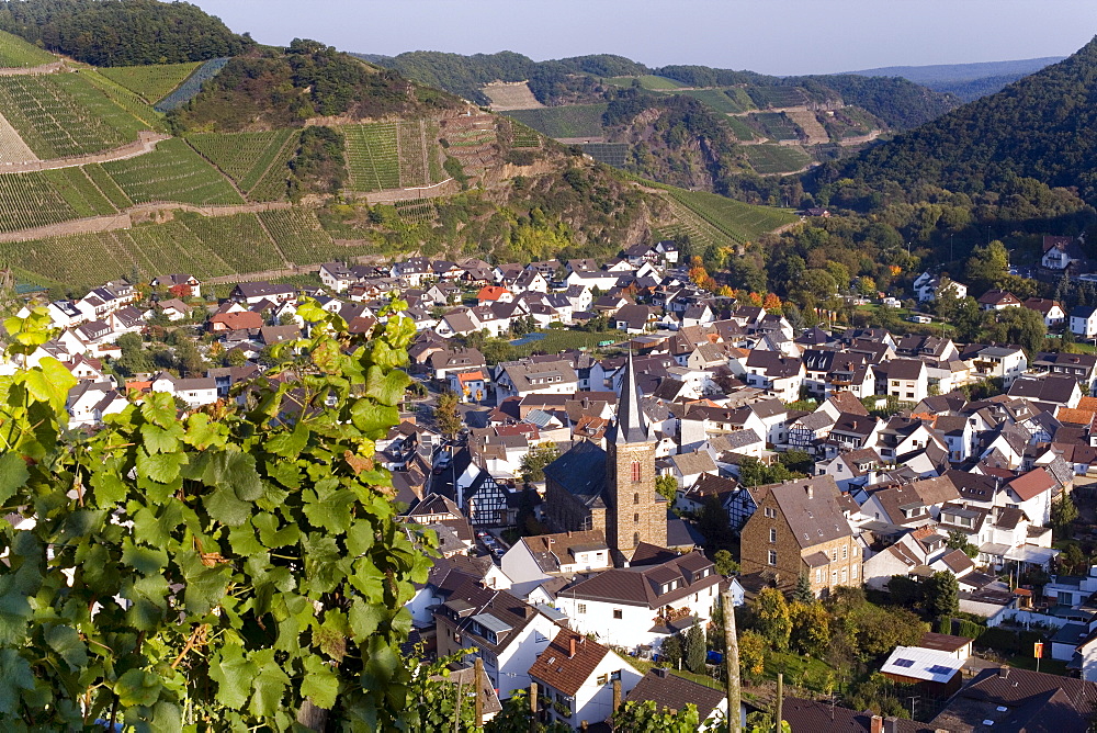 View of Dernau, vineyards, Ahrtal Valley, Eifel Range, Rhineland-Palatinate, Germany, Europe