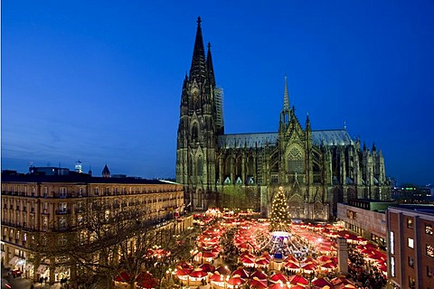 Illuminated christmas market and christmas tree in front of Cologne Cathedral, North Rhine-Westphalia, Germany, Europe