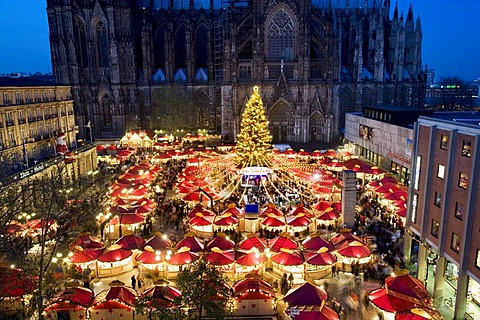 Illuminated christmas market and christmas tree in front of Cologne Cathedral, North Rhine-Westphalia, Germany, Europe