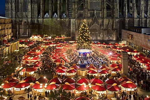 Aerial view of the illuminated christmas market and christmas tree in front of Cologne Cathedral, North Rhine-Westphalia, Germany, Europe