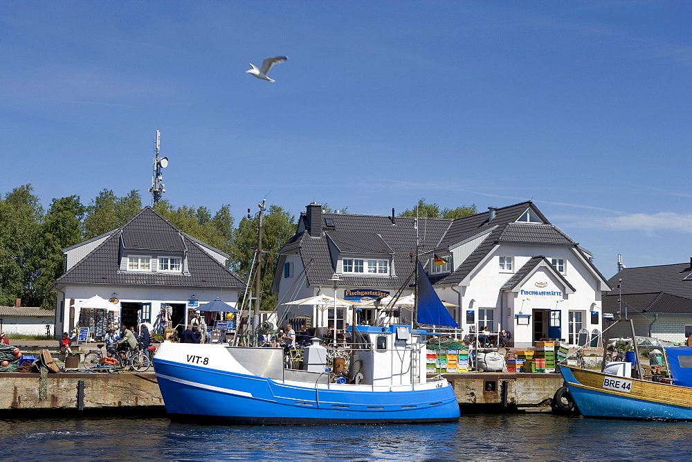 Ship in the harbour, Vitte, Hiddensee Island, Baltic Sea, Mecklenburg-Western Pomerania, Germany, Europe