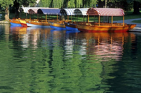 Traditional wooden boats, Pletten, on the lake of Bled, Gorenjska region, Slovenia