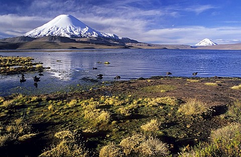 Volcanoe Parinacota (6342 m) and Lago Chungara, Lauca National Park, Chile